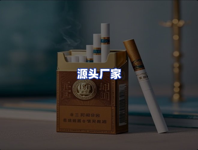 专业团队